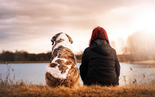 Заведите собаку: эксперты дали неожиданный совет о том, как стать здоровыми и счастливыми