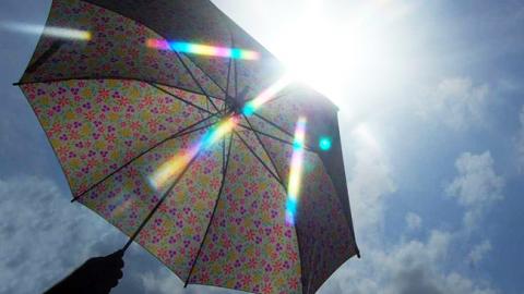 Можливі заморозки: синоптик дала прогноз погоди на початок тижня