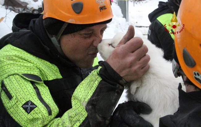 В Италии нашли щенков, попавших в снежную лавину