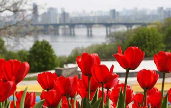 Киев на майские: как будет праздновать столица