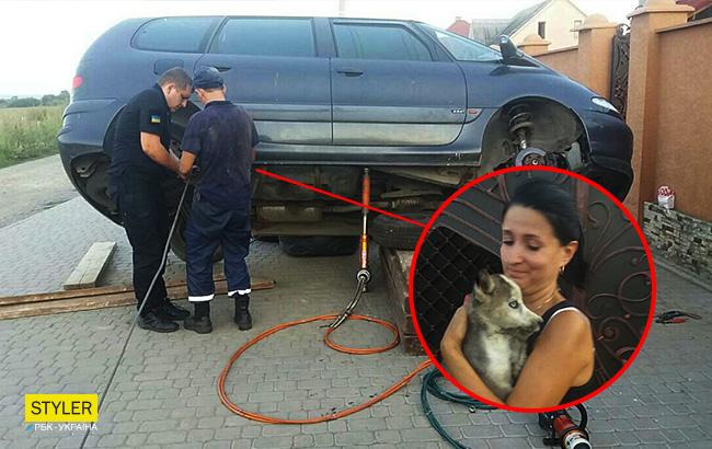 Спрятался от жары: на Закарпатье четыре часа спасали щенка