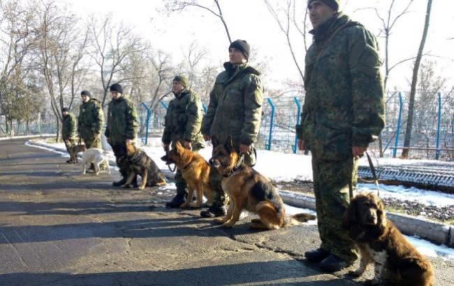 Храбрый пес спас жителей Авдеевки от заминированного российского дрона (фото)