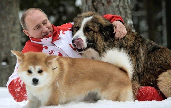 Соцсети высмеяли Путина, который переночевал в тайге