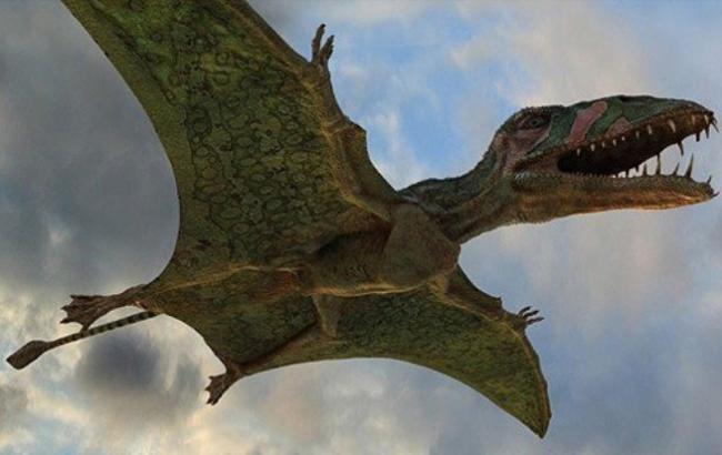 Вчені виявили останки гігантських птерозаврів