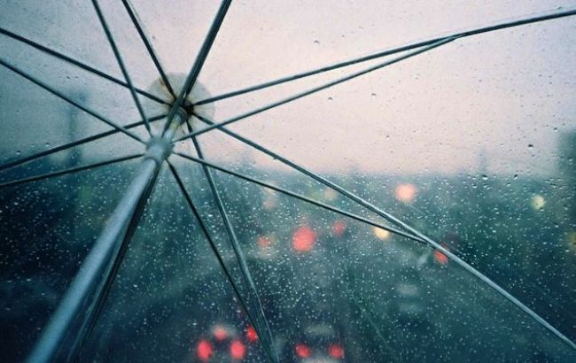 ГСЧС предупреждает о грозах в Украине в течение суток