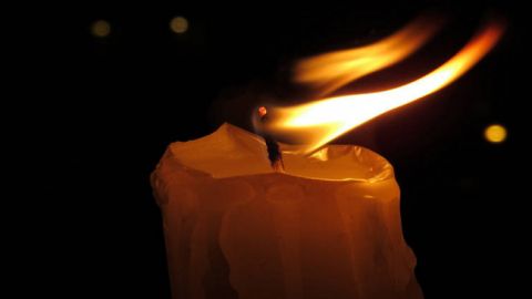 У Львові трагічно загинула відома художниця