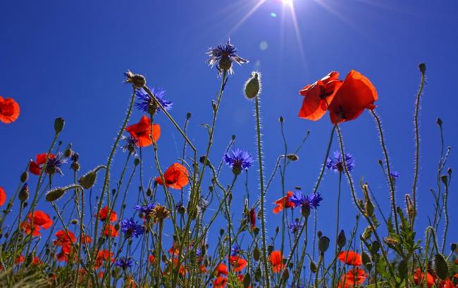 Літня спека і дощі: синоптик дала прогноз на 2 травня