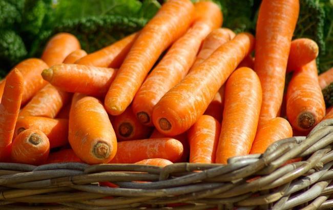 Подорожание моркови: стало известно, почему поднялась цена на корнеплод