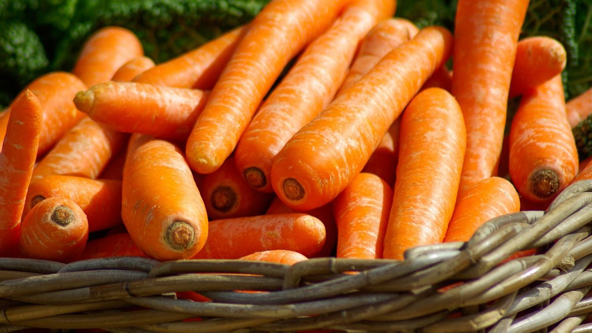 Как хранить морковь - Клопотенко раскрыл важные секреты