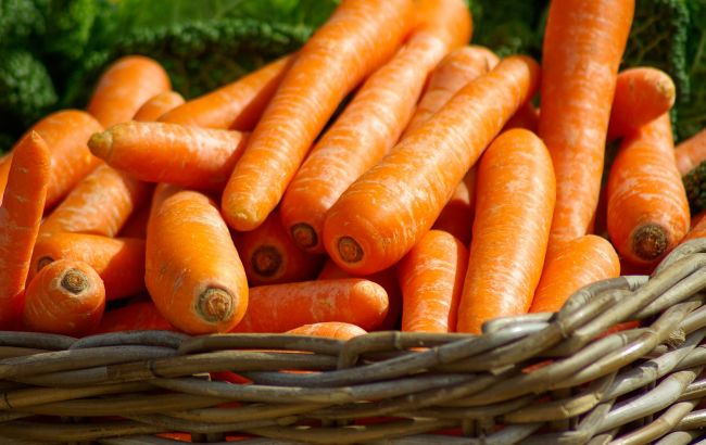 Стратегічний запас на зиму: як зберегти моркву свіжою до самої весни