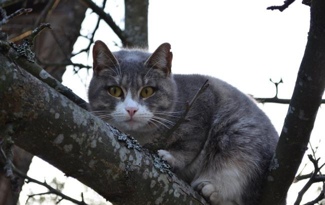 Синоптик рассказала, когда начнется настоящая весна