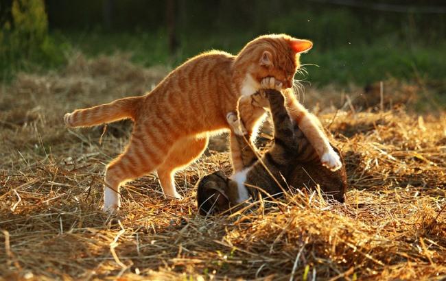 Синоптик дала прогноз погоды на выходные и праздничные дни