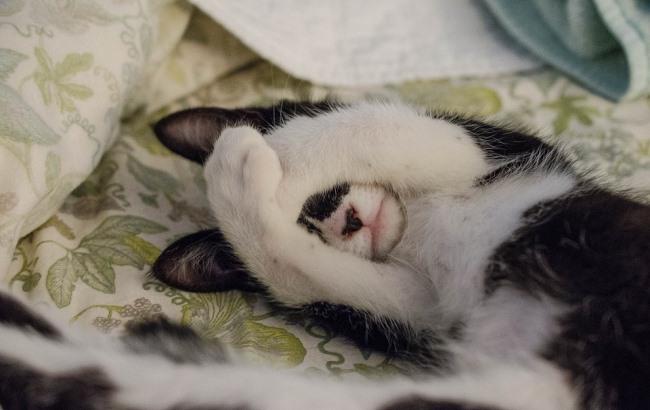 Ученые заявили, что больше 8 часов спать вредно