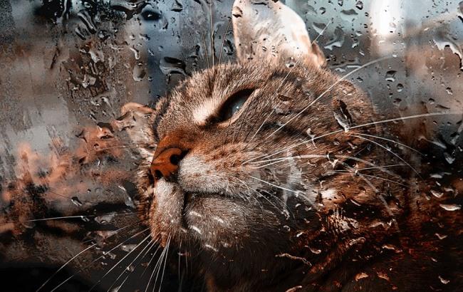 "Какабека": синоптик попередила про несприятливі погодні умови