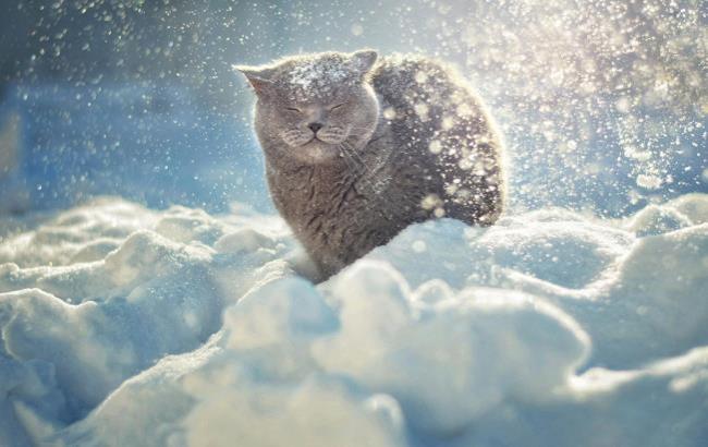 Холодно и снежно: синоптики дали прогноз погоды на последний день осени