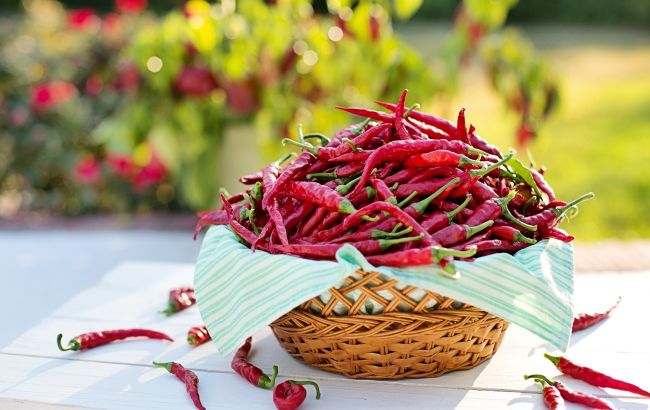 Клопотенко рассказал, кому нельзя, а кому нужно есть перец чили