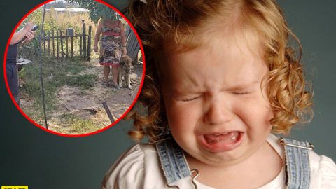 Под Харьковом сторожевой пес бросился на трехлетнюю девочку: родные не успели