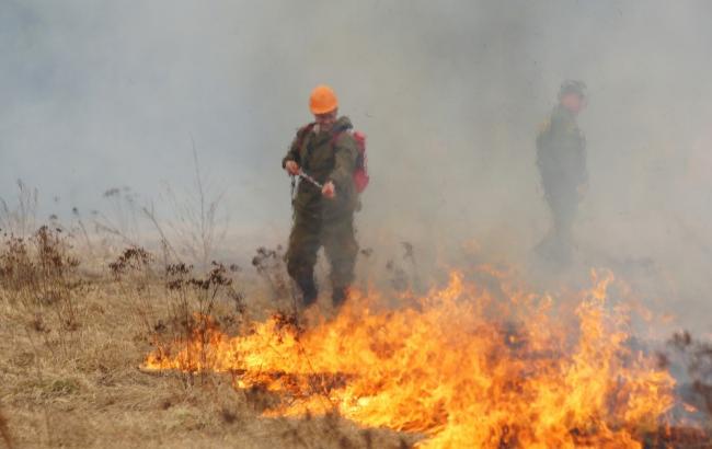 Через пожежі у Хакасії загинули не менше 15 осіб