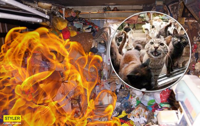Господиня плакала: у Миколаєві тварини загинули в зачиненій квартирі