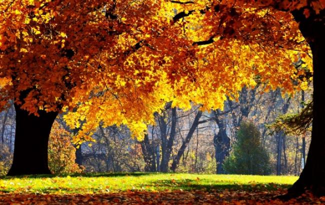 Погода на сьогодні: в Україні без опадів, температура до +18