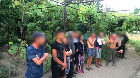 Работали на полях: в Херсонской области разоблачили трудовое рабство