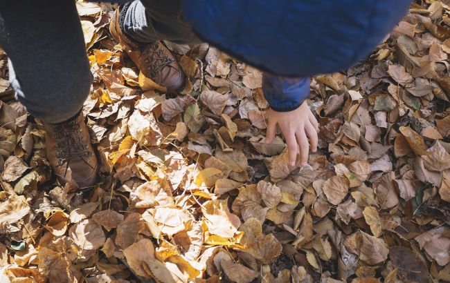 Не спешите с граблями: эксперты объяснили, почему опавшие листья могут быть полезны для сада