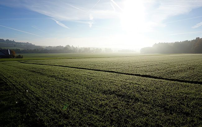В Украине начался посев озимых культур