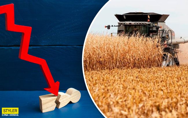 Економісти розповіли, чи загрожує Україні голод через світову кризу
