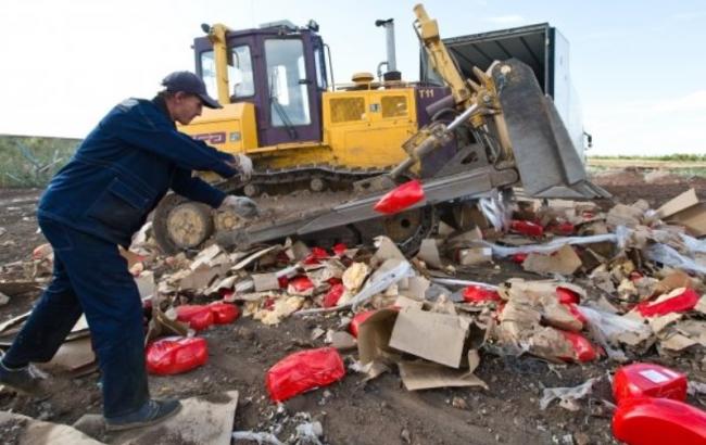 В РФ с августа уничтожено почти 800 т санкционной продукции