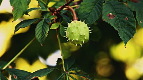 Июль заканчивается: синоптик рассказала, к чему готовиться в последний день месяца