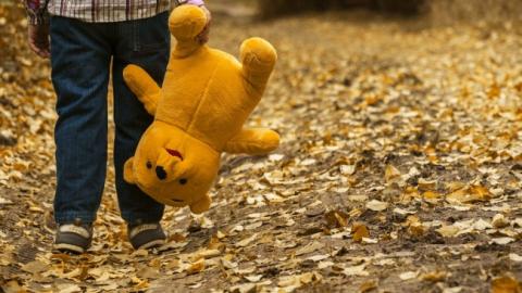 Во Львовской области пропавшего 9-летнего ребенка нашли мертвым