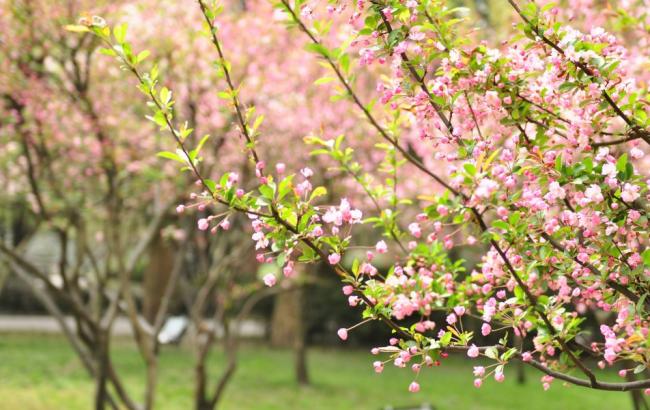 Погода на сегодня: в Украине без осадков, температура до +23