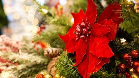 Украшения на Новый год своими руками