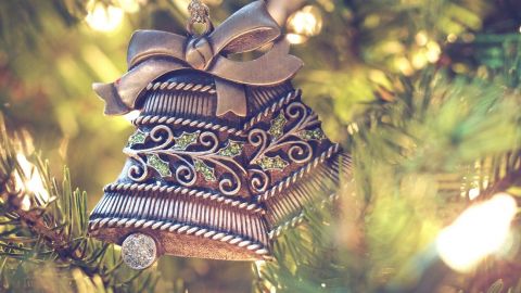 Під Рівним головну ялинку міста зрубали на кладовищі: місцеві пропонують прикрасити вінками