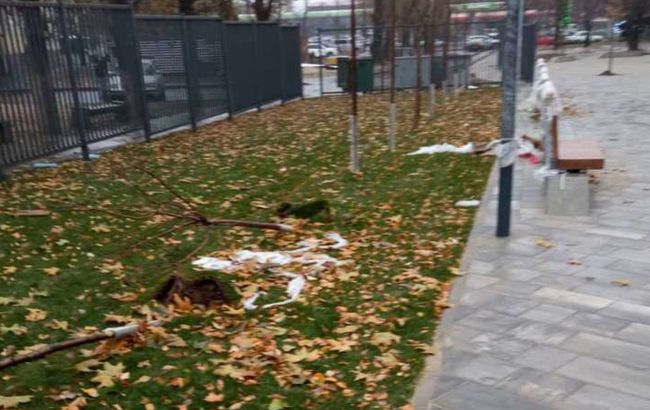 У реконструйованому сквері в Дніпрі намагалися вкрасти сакури