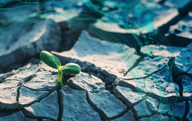 У найближчі п'ять років планету чекає потепління на півтора градуси Цельсія, - ООН