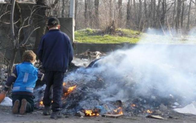 В Виннице будут наказывать за сжигание листьев