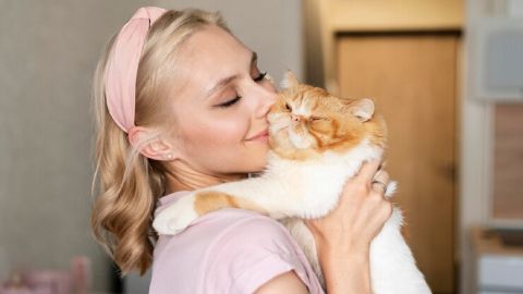 Выбор для тех, кто любит объятия: топ-7 самых ласковых кошек