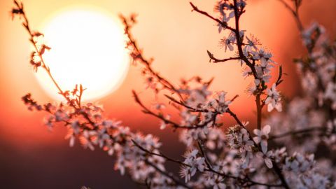 Весеннее равноденствие 2025: чем этот день важен для нас и что нельзя делать сегодня