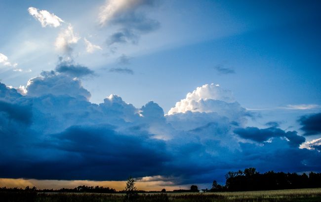 Насувається сильний вітер: у Києві оголосили штормове попередження