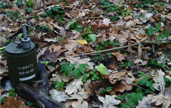 В Донецкой обл. женщина подорвалась на растяжке, - МВД
