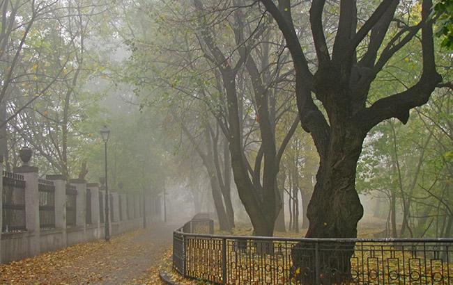 У Києві 20 жовтня очікується туман