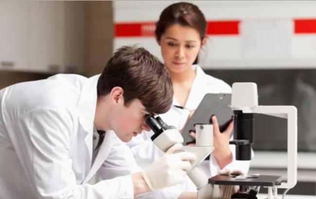 Ученые спроектировали биокомпьютер с протеинами вместо электронов