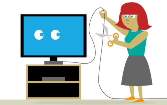 СБУ перевірить працюючого без ліцензії кабельного провайдера в Житомирській області