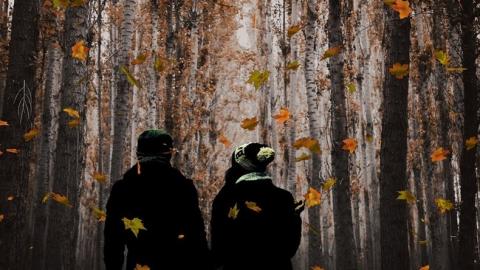 Перші морози: синоптики попередили про істотне похолодання 7 листопада