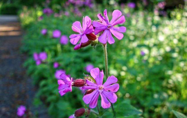 Синоптики уточнили прогноз на 19 июля