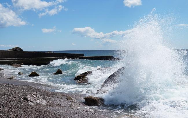 "Брошенный мертвец": в сети рассказали, во что превратился оккупированный Симферополь
