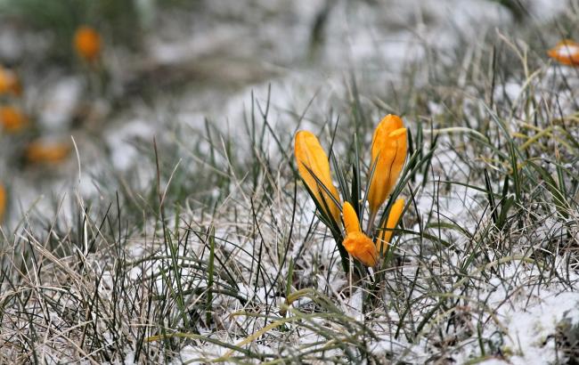 Синоптик ще раз попередила українців про погоду на вихідні