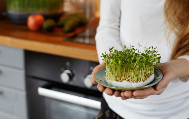 Как дома вырастить полезную микрозелень: нутрициолог поделилась инструкцией