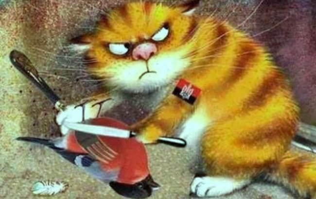 Борис Филатов показал кота Яроша